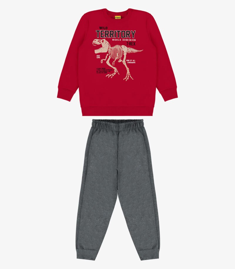 CONJUNTO MOLETOM INFANTIL MENINO ROVI KIDS - 3024882 - Imagem 2