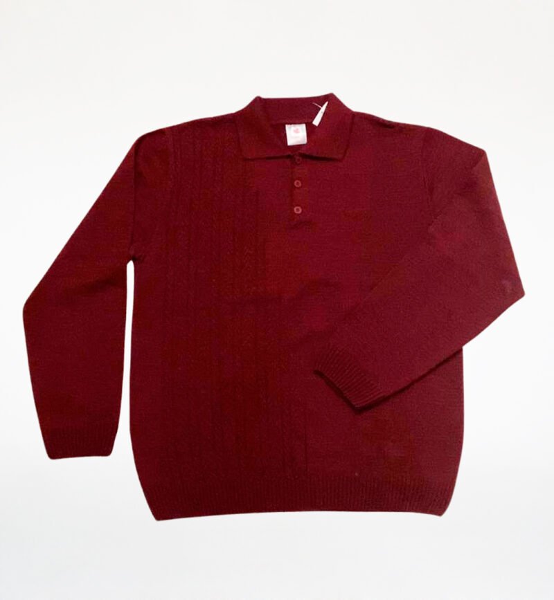 SUETER POLO MASCULINO D'LANFIORI TRICOT - 4119 - Imagem 4