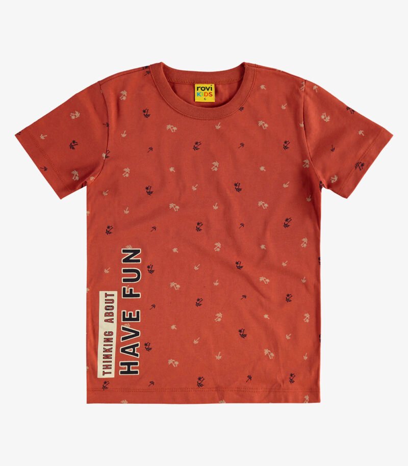 CAMISETA INFANTIL MENINO MEIA MALHA ROVI KIDS - 3026842 - Imagem 9