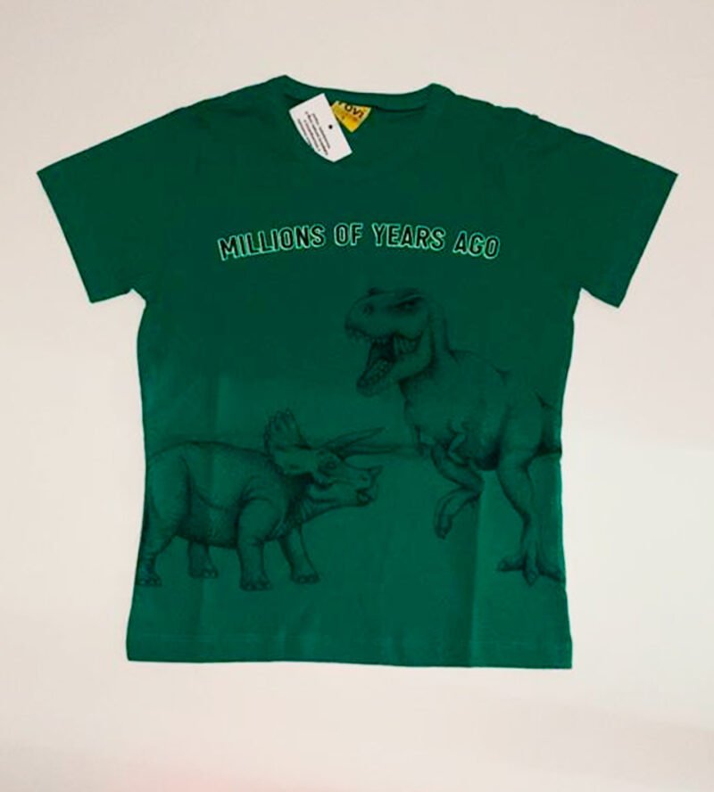 CAMISETA INFANTIL MENINO ROVI KIDS - DIVERSOS - L460 - Imagem 12
