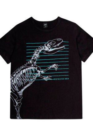 CAMISETA INFANTIL MENINO ROVITEX DINO - 3091052