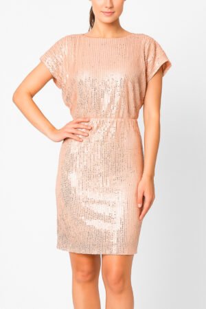 VESTIDO FEMININO PAETE SOCIAL FESTA MARIA CONFECCOES