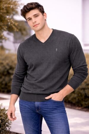 SUETER GEGOTE V  MASCULINO D'LANFIORI - = - 4120 GG MESCLA ESCURA